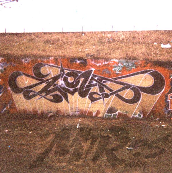 WOLT  PARCO SPINO VIMODRONE 02
